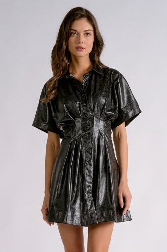 Stevie Mini Dress